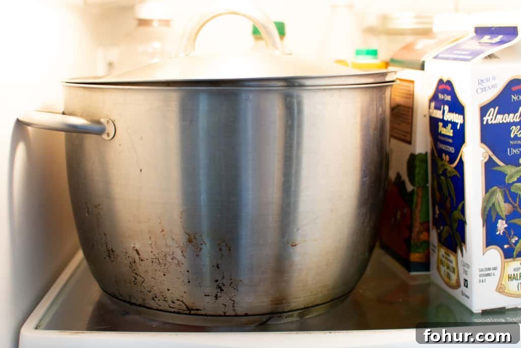 Stock pot with lid in the refrigerator