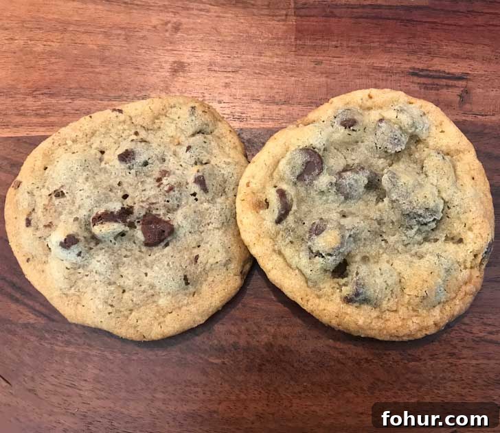 Wegmans cookie (left) and homemade copycat cookie (right)