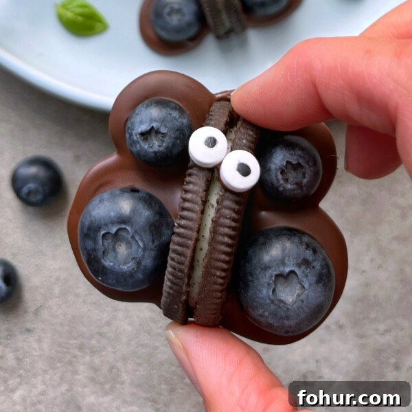 A butterfly-shaped treat made with an Oreo, blueberries, chocolate, and candy eyes—great for playful snacks.