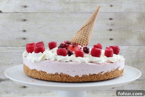 Raspberry Ice Cream Pie