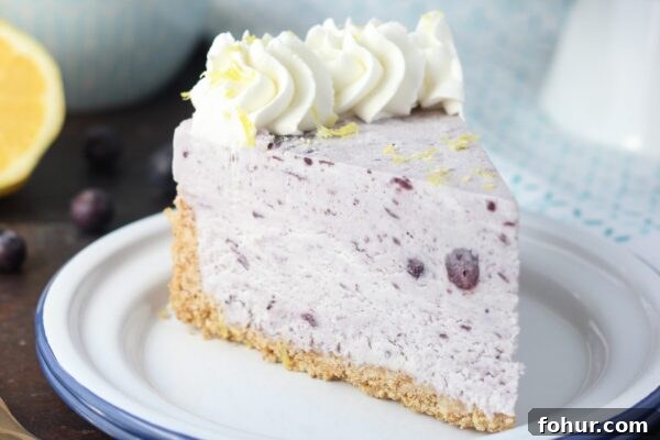 Blueberry Ice Cream Pie