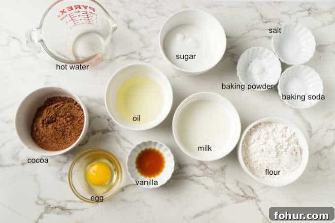 Ingredients for air fryer chocolate cupcakes.