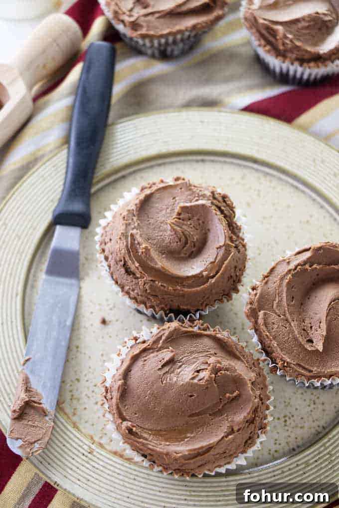Chocolate cupcakes with chocolate buttercream swirled on top.