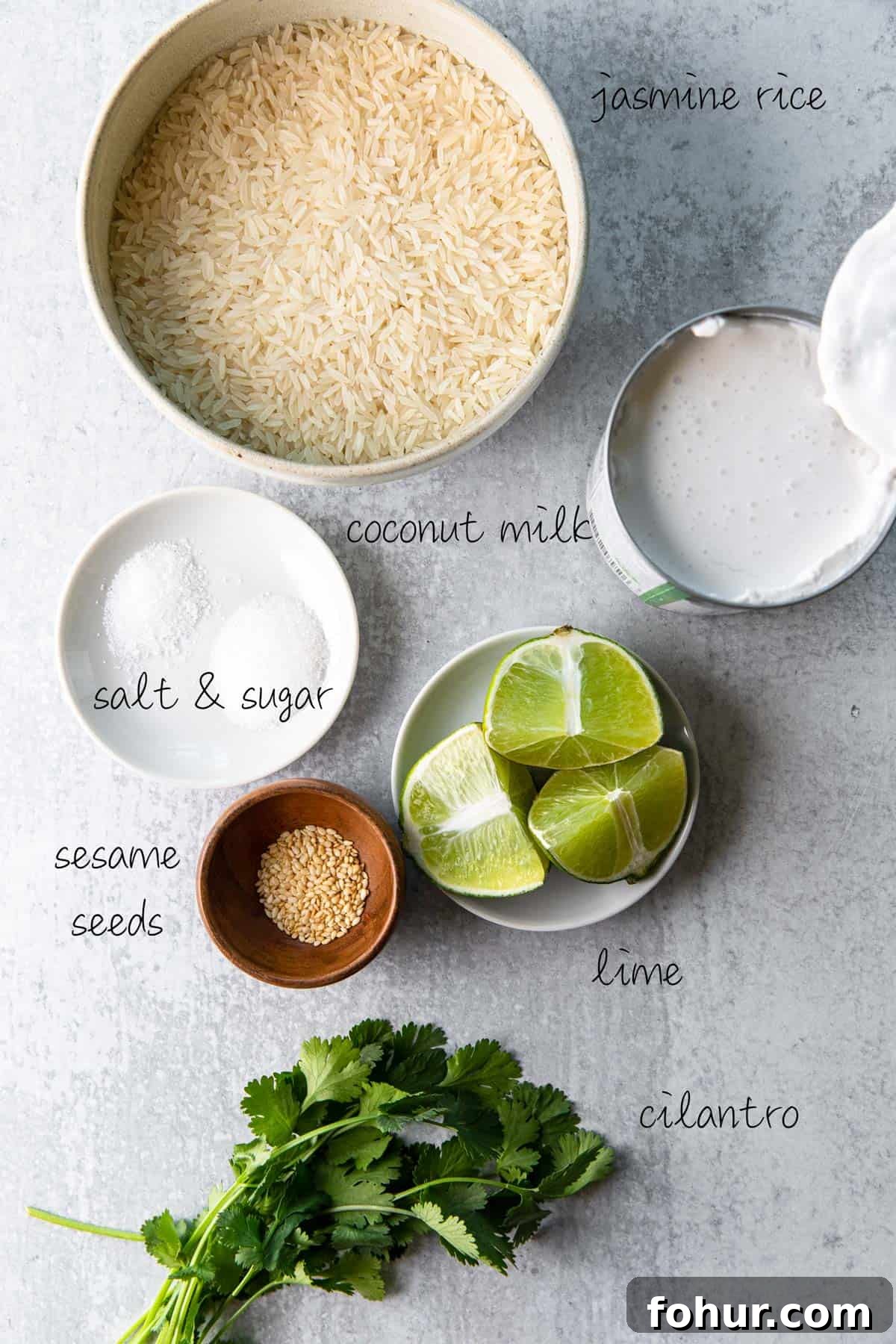 Instant Pot Coconut Jasmine Rice Recipe 3 ingredients to make coconut jasmine rice recipe
