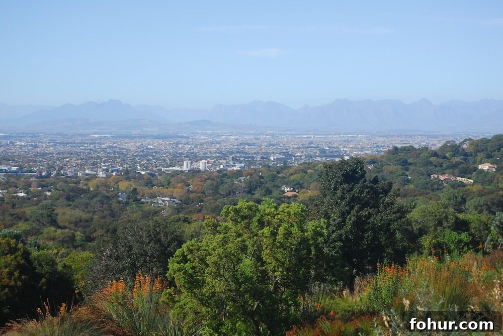 Sunday at Kirstenbosch National Botanical Garden, Cape Town 10 img 62 10