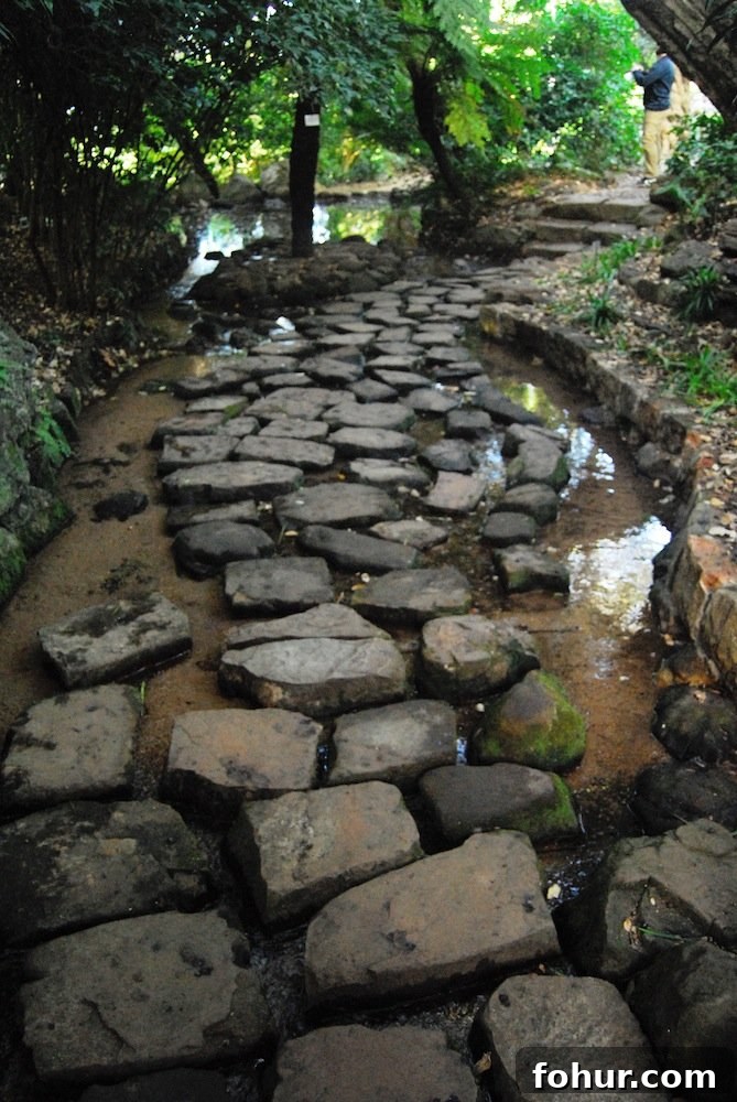 Sunday at Kirstenbosch National Botanical Garden, Cape Town 21 img 62 22