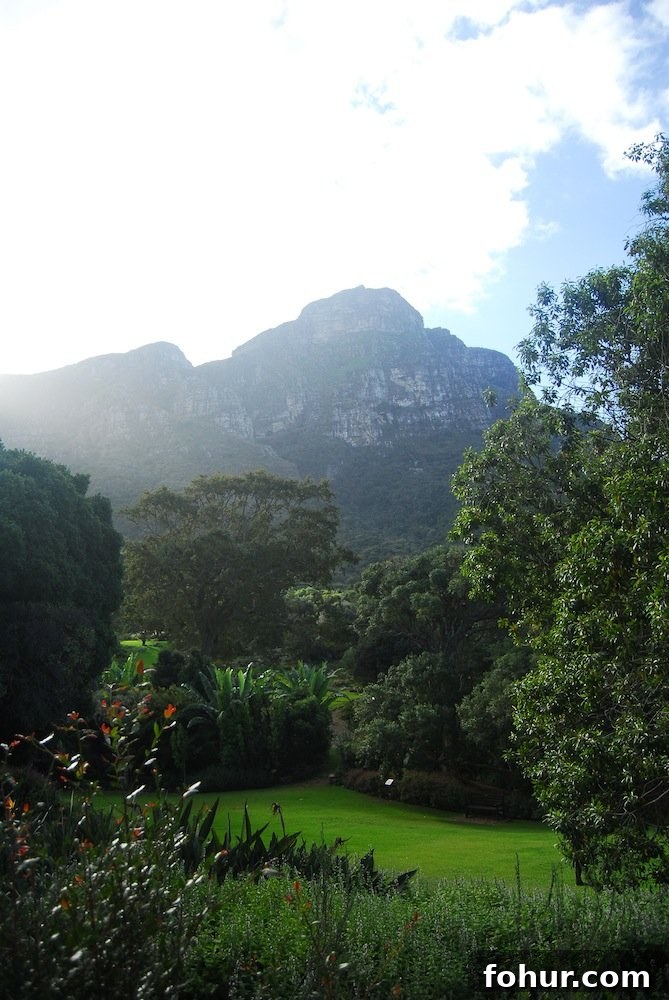 Sunday at Kirstenbosch National Botanical Garden, Cape Town 23 img 62 24