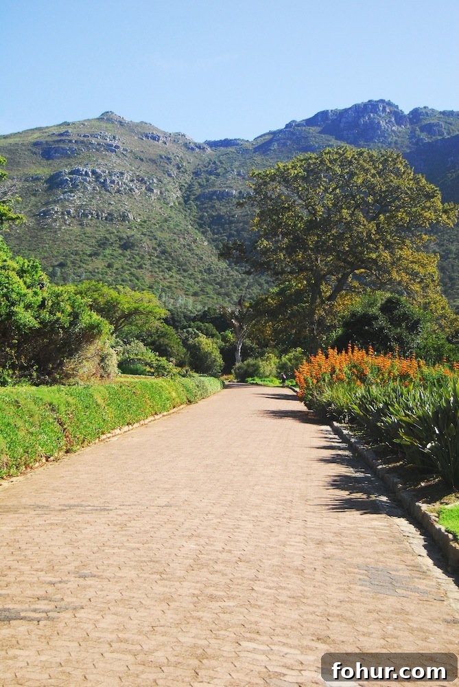 Sunday at Kirstenbosch National Botanical Garden, Cape Town 5 img 62 5