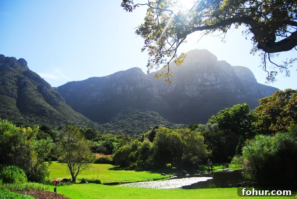 Sunday at Kirstenbosch National Botanical Garden, Cape Town 9 img 62 9
