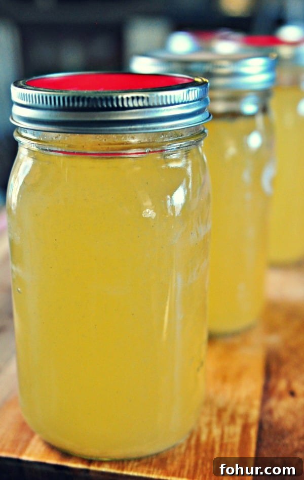 How to Make Homemade Chicken Stock from Scratch 6 Easy Chicken Stock