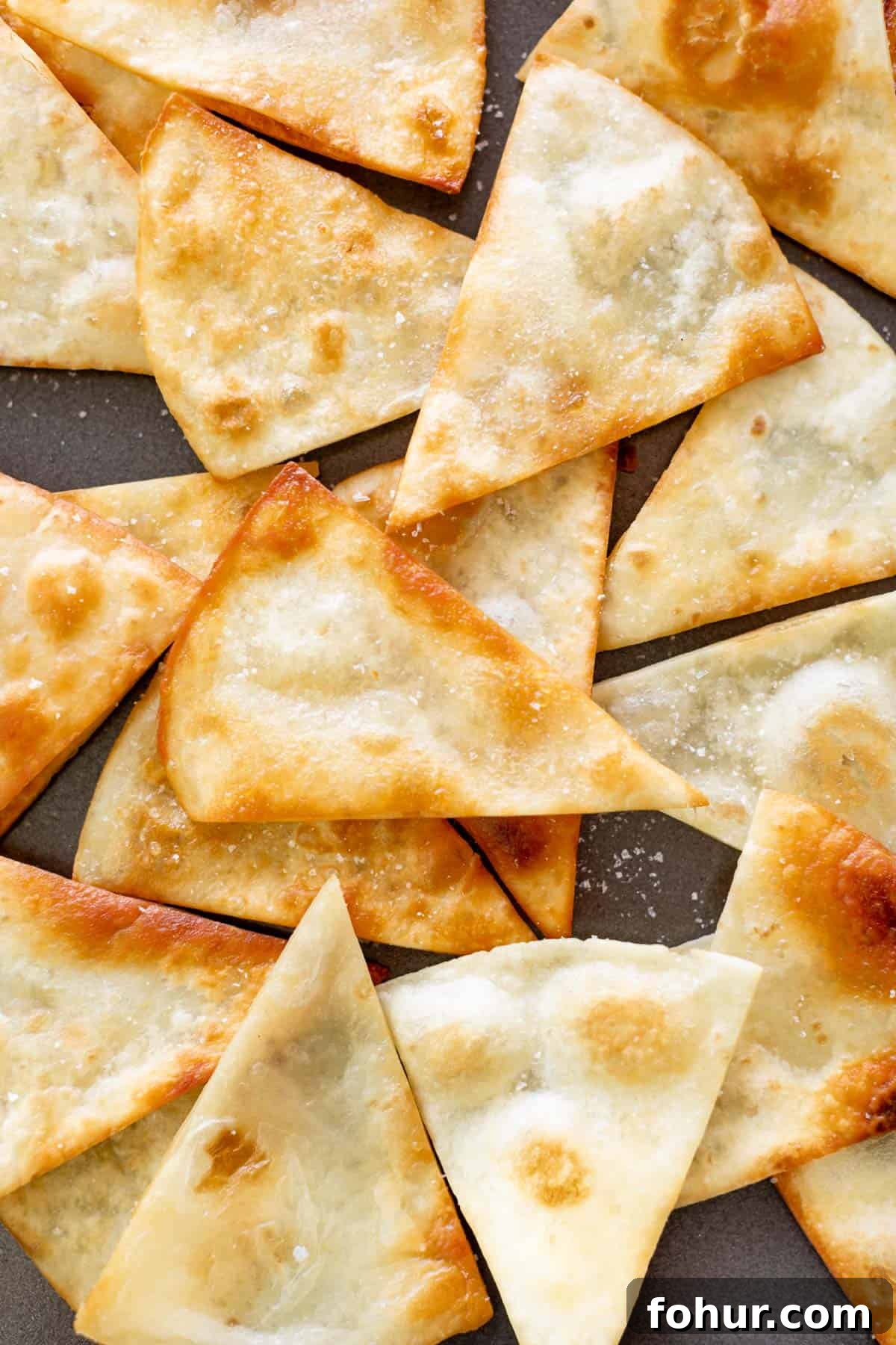 Crispy Homemade Fried Tortilla Chips 2 Crunchy Golden tortilla chips on a plate, sprinkled with salt.