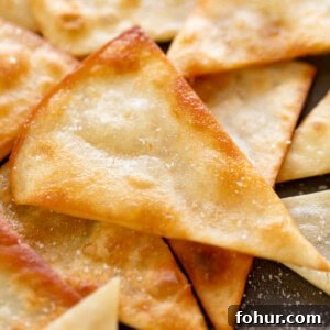 Crispy Homemade Fried Tortilla Chips 11 Top view image of Tortilla Chips Recipe