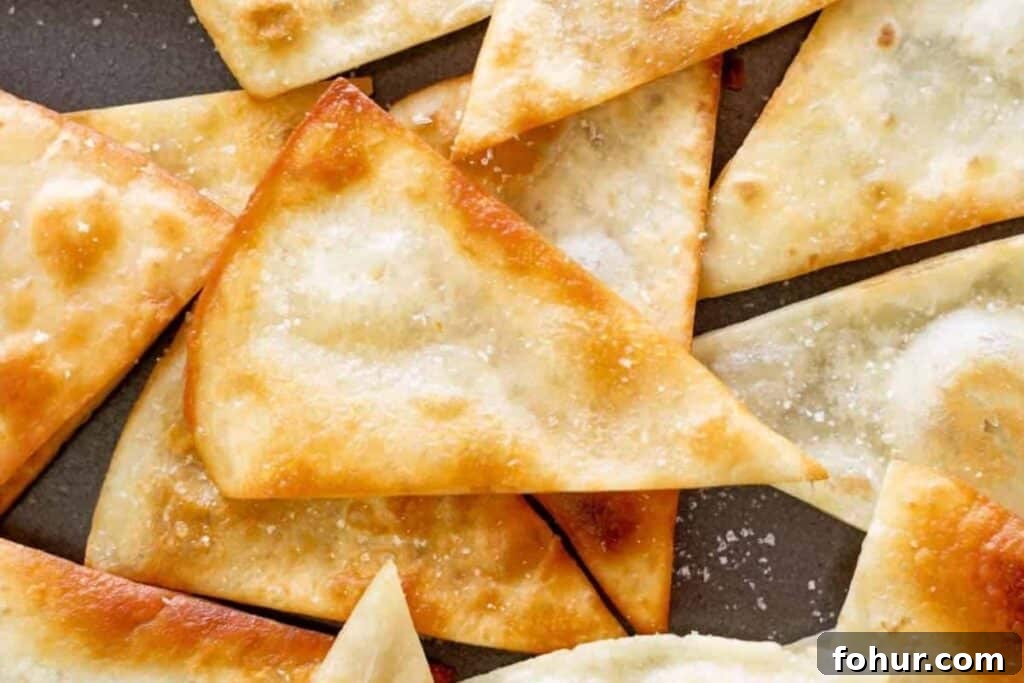 Crispy Homemade Fried Tortilla Chips 8 img 69891 7