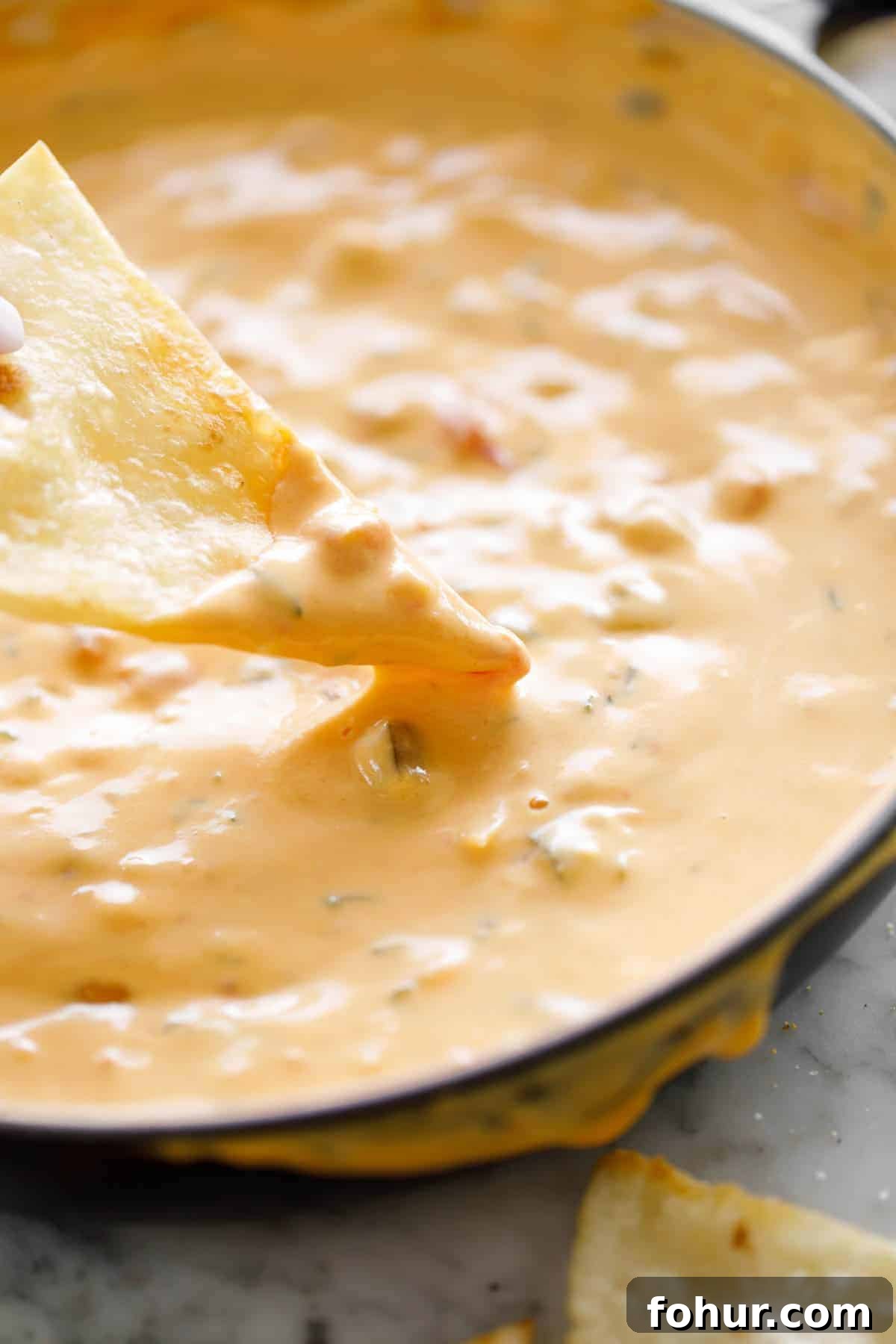 Crispy Homemade Fried Tortilla Chips 10 tortilla chips with Queso dip.