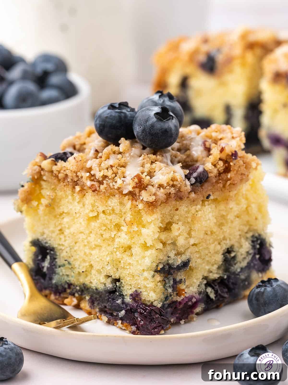 With fresh blueberries and sour cream, this Blueberry Coffee Cake is moist and tender, with an irresistible sweet & crunchy streusel topping. A slice of blueberry sour cream coffee cake on a plate