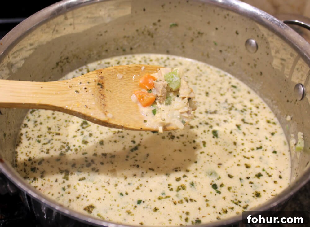 Creamy Leftover Turkey Soup Recipe 5 Leftover Turkey Creamy Soup5
