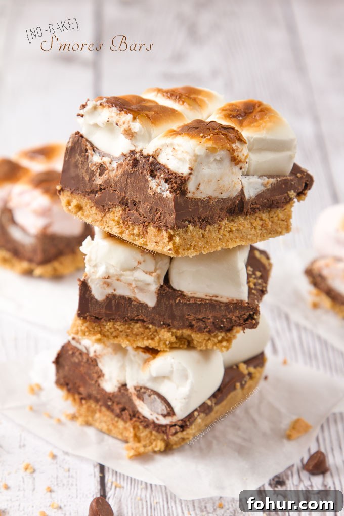 No-Bake S'mores Bars - Most Popular Recipes of 2015