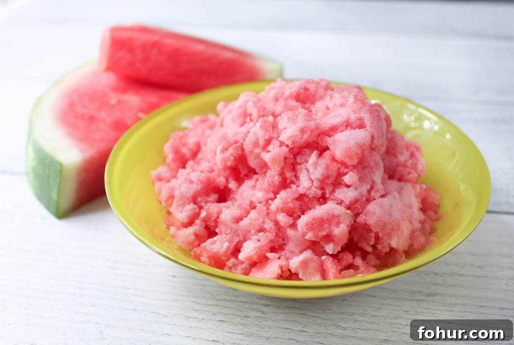 4 Refreshing Watermelon Treats for Dogs 2 Homemade Watermelon Dog Slushies