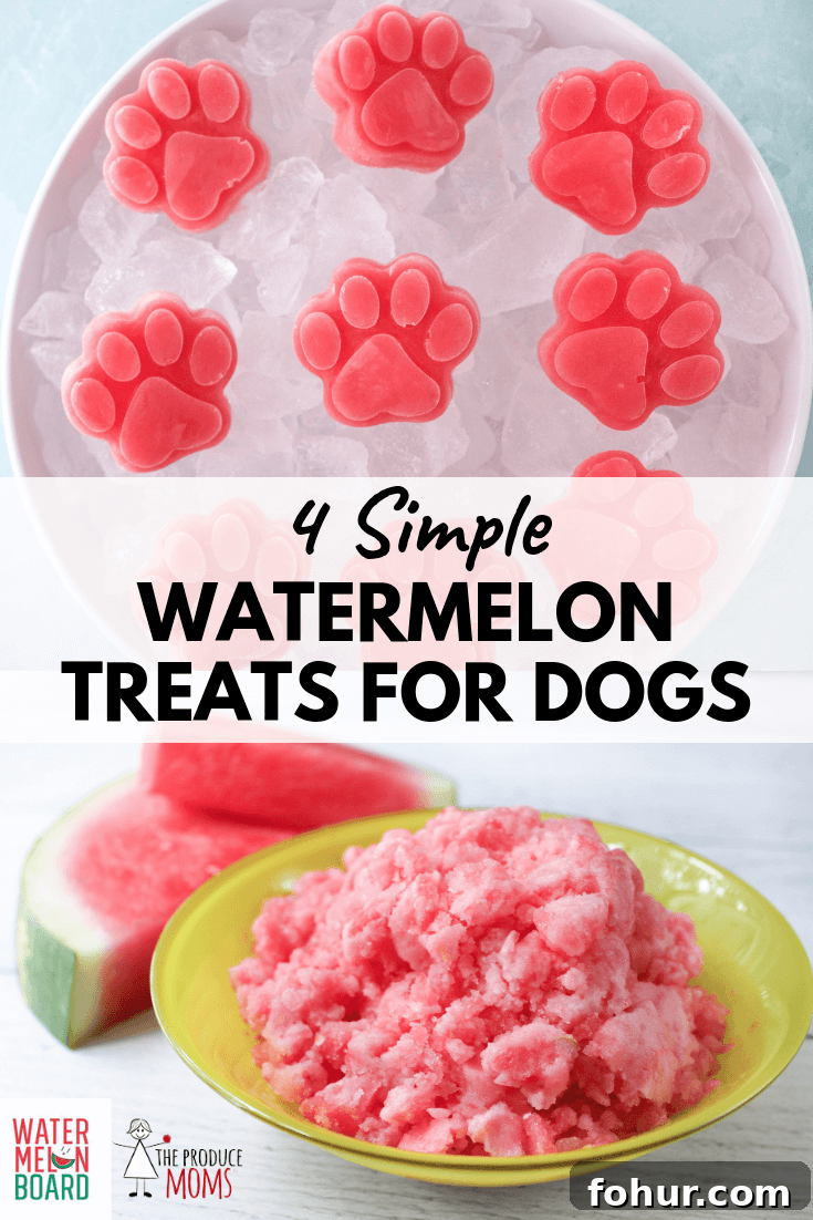 4 Simple Watermelon Dog Treats 4 Simple Watermelon Dog Treats