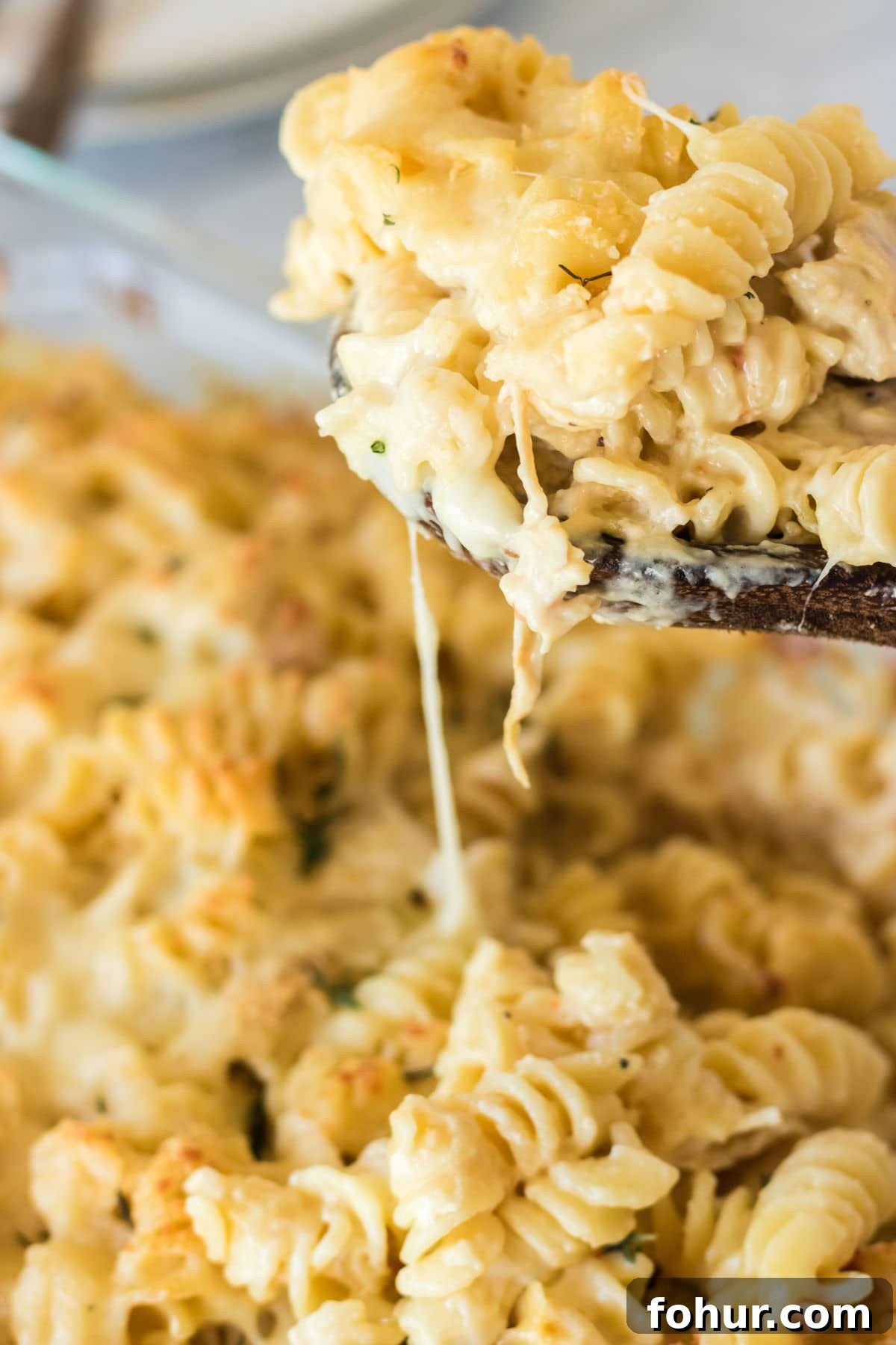 Zesty Chicken Mac and Cheese Recipe 2 Spoonful of Angel Chicken Mac & Cheese.