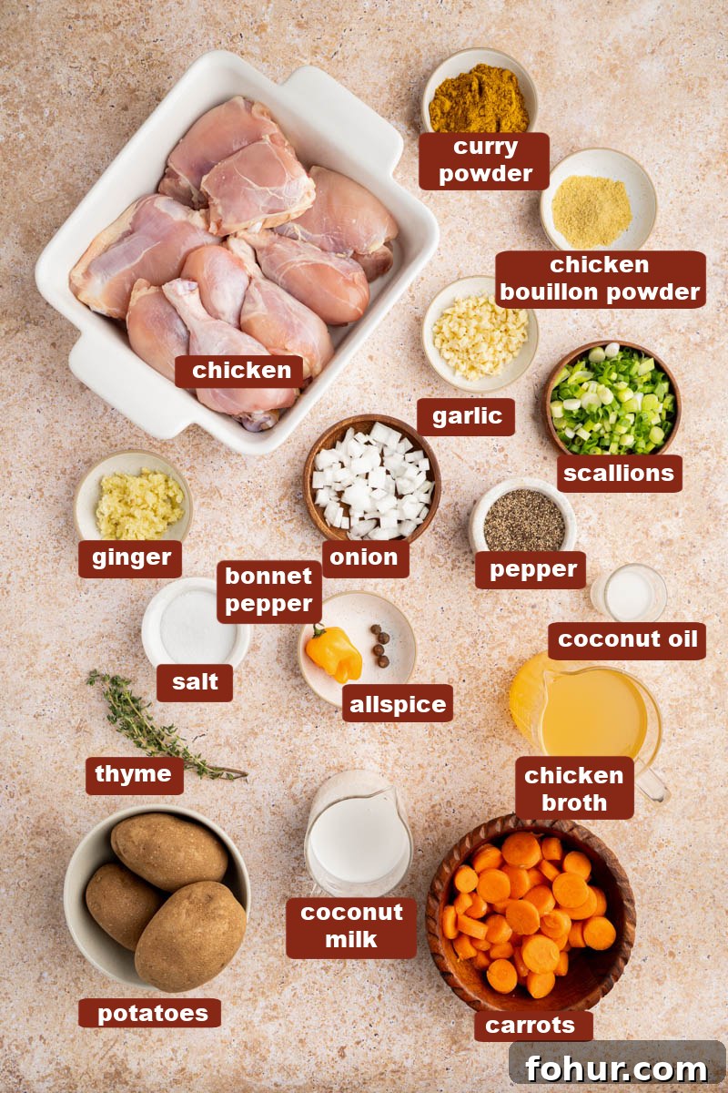 Authentic Jamaican Curry Chicken Recipe 2 All of the ingredients for Jamaican Chicken Curry in bowls on a countertop.