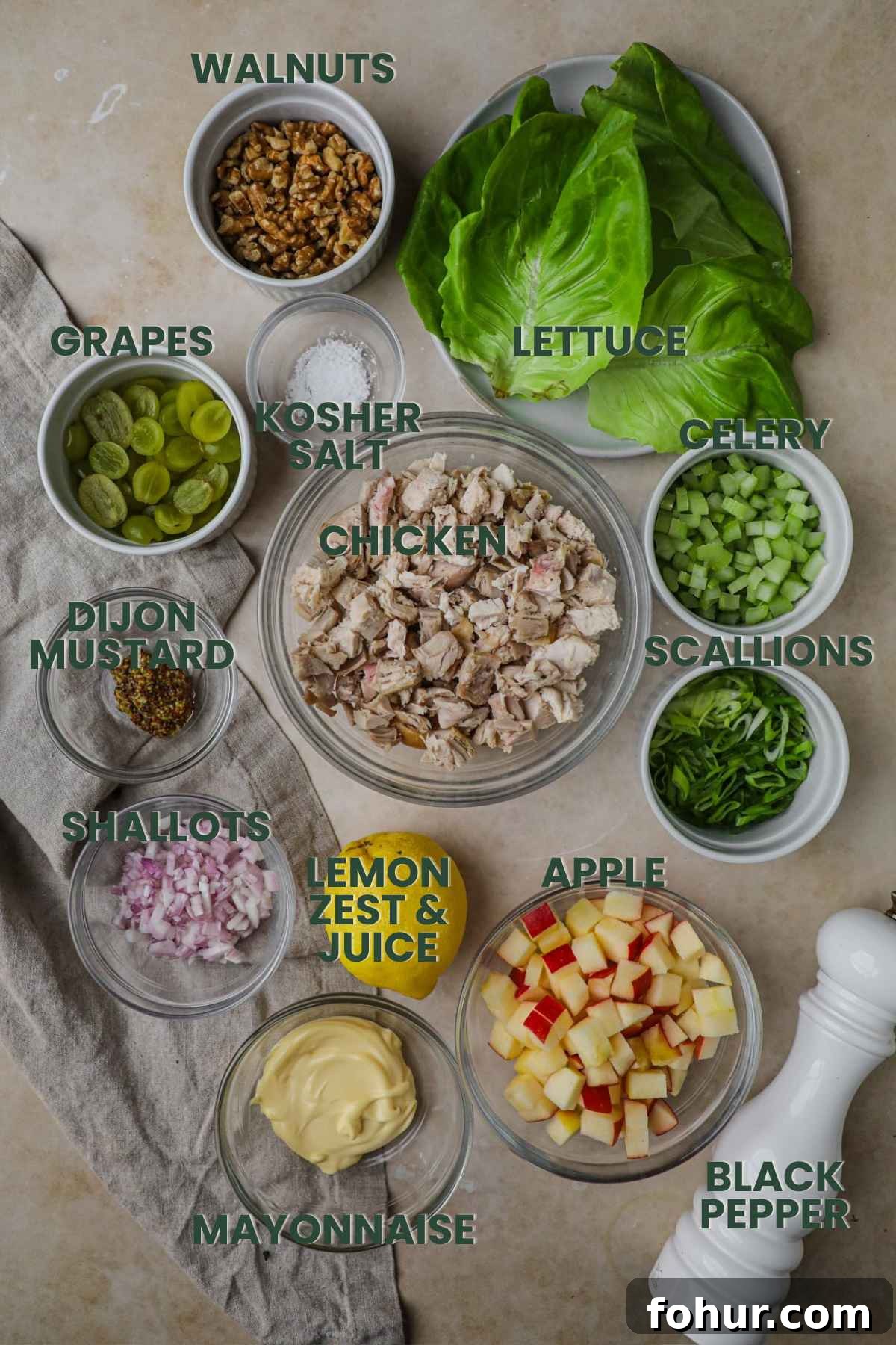 Chicken Salad Lettuce Wraps Recipe with Crisp Veggies 3 Ingredients for chicken salad lettuce wrap cup, chicken, walnuts, scallions, mayo, grapes, lemon zest juice, shallots, dijon mustard, celery, apple, salt, pepper, lettuce.