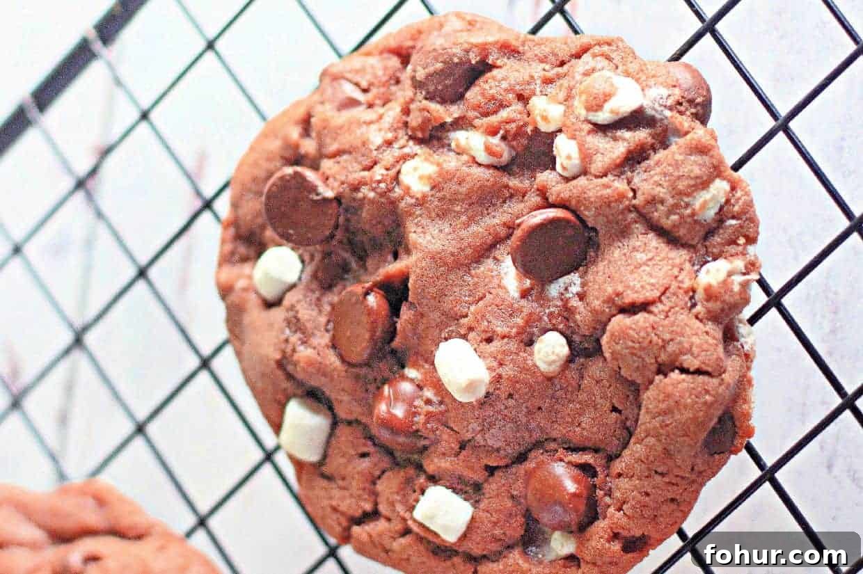 19 Cookie Recipes Even Dessert Skeptics Can't Resist 2 A close-up of a cocoa chip cookie with white and dark chocolate chunks resting on a black cooling rack.