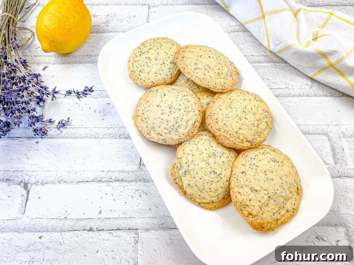 19 Cookie Recipes Even Dessert Skeptics Can't Resist 8 A top-down shot of Lemon Poppy Seed Cookies on a white plate.