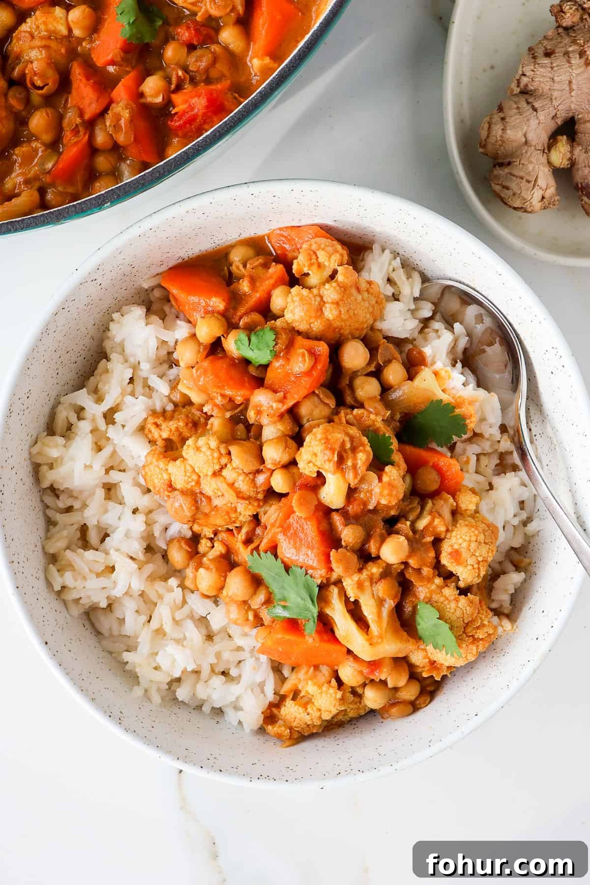 Chickpea and Lentil Curry with Warm Spices 2 Chickpea and lentil curry in a bowl with rice and a spoon.