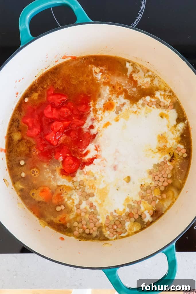Chickpea and Lentil Curry with Warm Spices 6 Tomatoes, coconut milk and lentil added to the pot.
