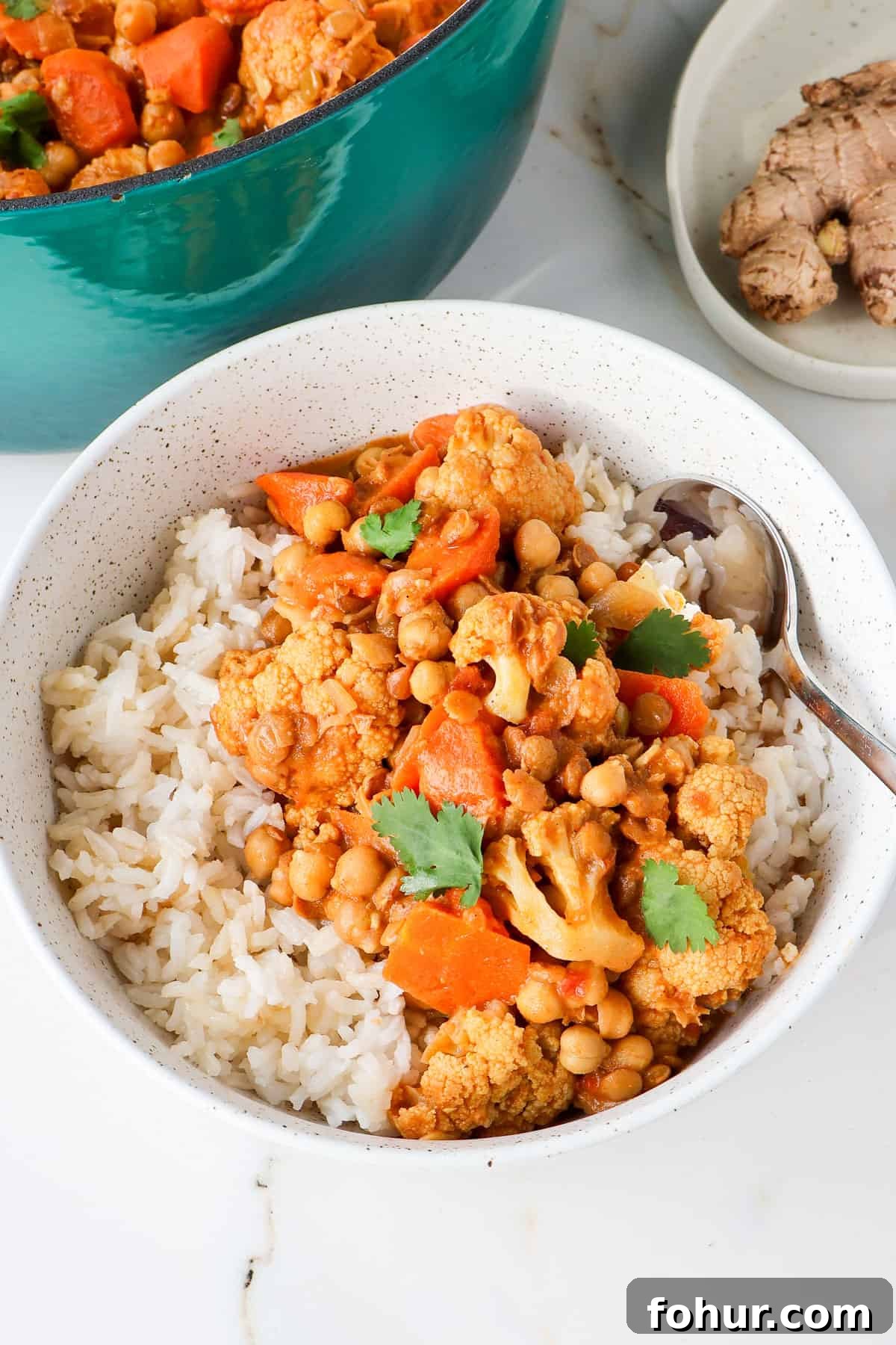 Chickpea and Lentil Curry with Warm Spices 9 Side shot of chickpea and lentil curry in a bowl with rice and a spoon.