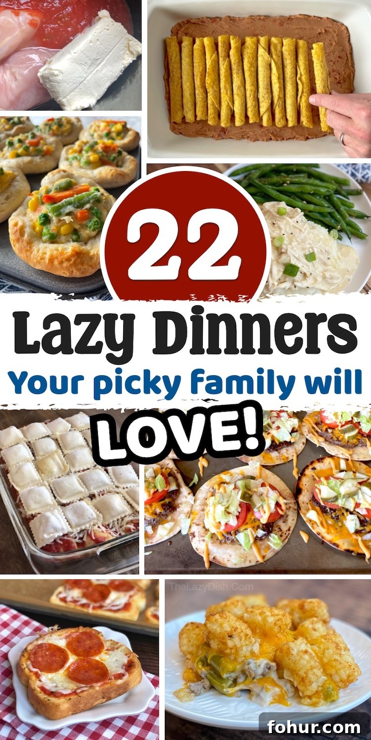 22 Quick Dinner Recipes for Picky Eaters 2 A list of quick and easy family dinner ideas to make tonight! Everything from chicken and ground beef to delicious casseroles and simple slow cooker meals. Your family is going to love these lazy days dinners! Even your picky kids will get a belly full.
