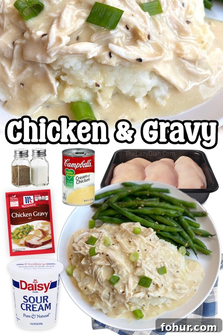 22 Quick Dinner Recipes for Picky Eaters 14 Slow Cooker Shredded Chicken and Gravy | Easy crockpot dinner recipe made with chicken breasts, sour cream, chicken gravy mix, and a can of soup to make a delicious family meal for your picky eaters.