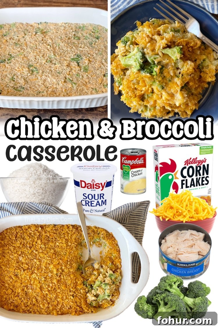 22 Quick Dinner Recipes for Picky Eaters 18 Cheesy Chicken Broccoli & Rice Dinner Casserole. This easy weeknight meal is budget friendly and kid approved! You can customize this main dish with the veggies of your choice along with brown or white rice. I used canned chicken to make it extra lazy!