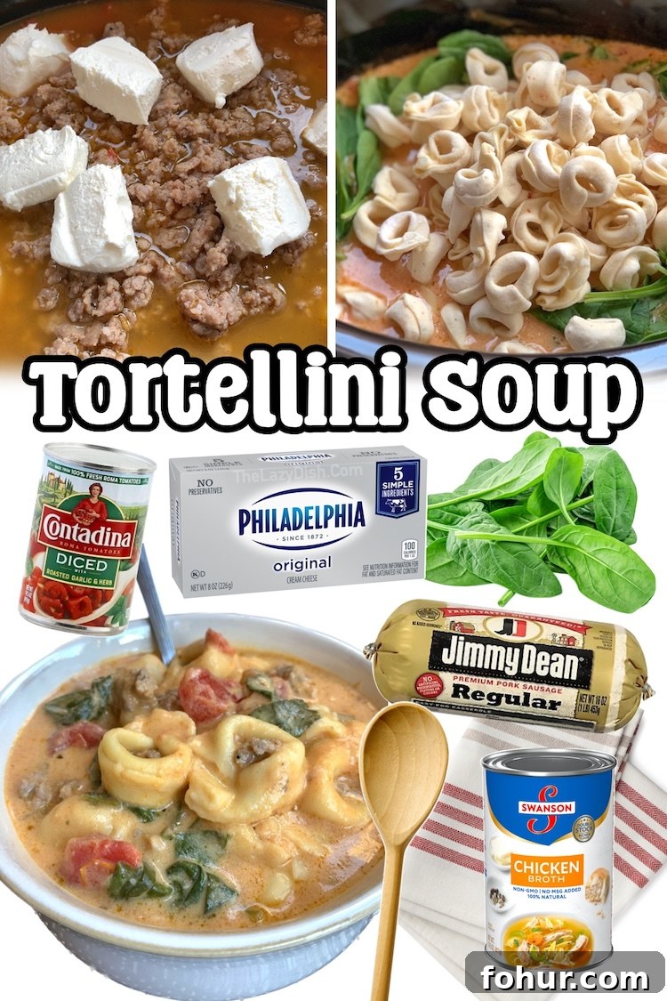 22 Quick Dinner Recipes for Picky Eaters 19 This slow cooker sausage and tortellini soup is so easy to make with just a handful of common ingredients! It's our go-to dinner on busy weeknights because it can be made ahead of time and then ready to eat at dinner time.