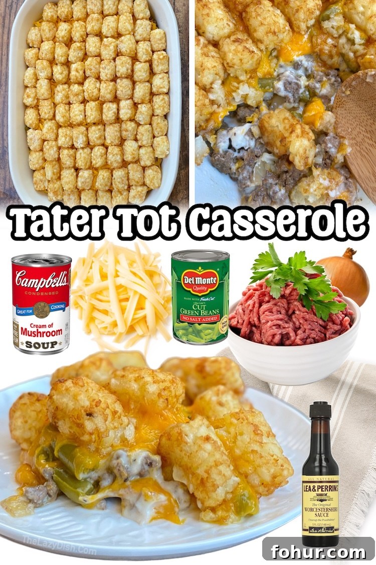 22 Quick Dinner Recipes for Picky Eaters 22 Ground beef, tater tots, creamy canned soup, cheddar cheese, and a can of green beans! That's all you need to make the best cheesy tater tot casserole for dinner. This family friendly meal is the most delicious comfort food, and quick to prepare in less than 30 minutes on busy weeknights.