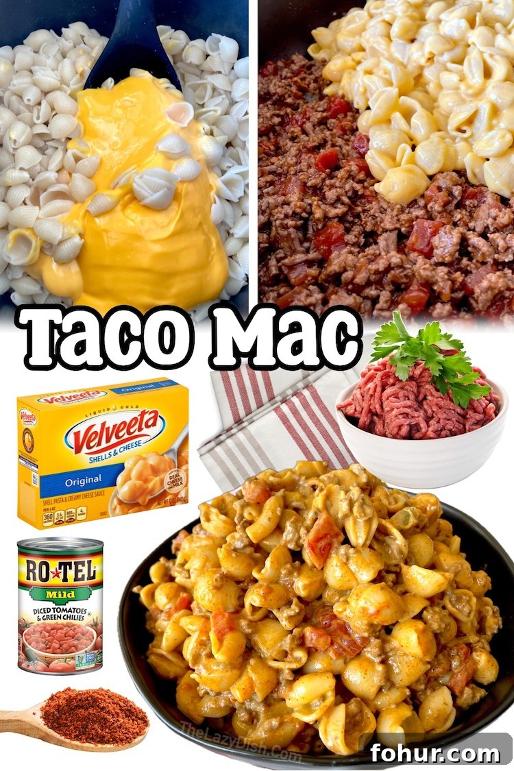 22 Quick Dinner Recipes for Picky Eaters 4 Taco Macaroni & Cheese | Delicious comfort for dinner that's quick and easy to make with budget ingredients! This yummy dinner combines Velvet Mac with taco seasoned ground beef, making for a filling last minute meal on busy weeknights.