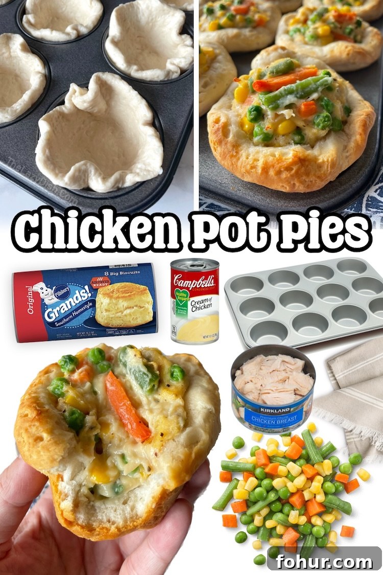 22 Quick Dinner Recipes for Picky Eaters 8 Mini Chicken Pot Pies made with just 4 ingredients! Refrigerated biscuits make this classic recipe a breeze to make in a muffin pan. A kid friendly dinner that is fun to make with cheap ingredients. Your picky eaters are going to love this simple chicken dinner!