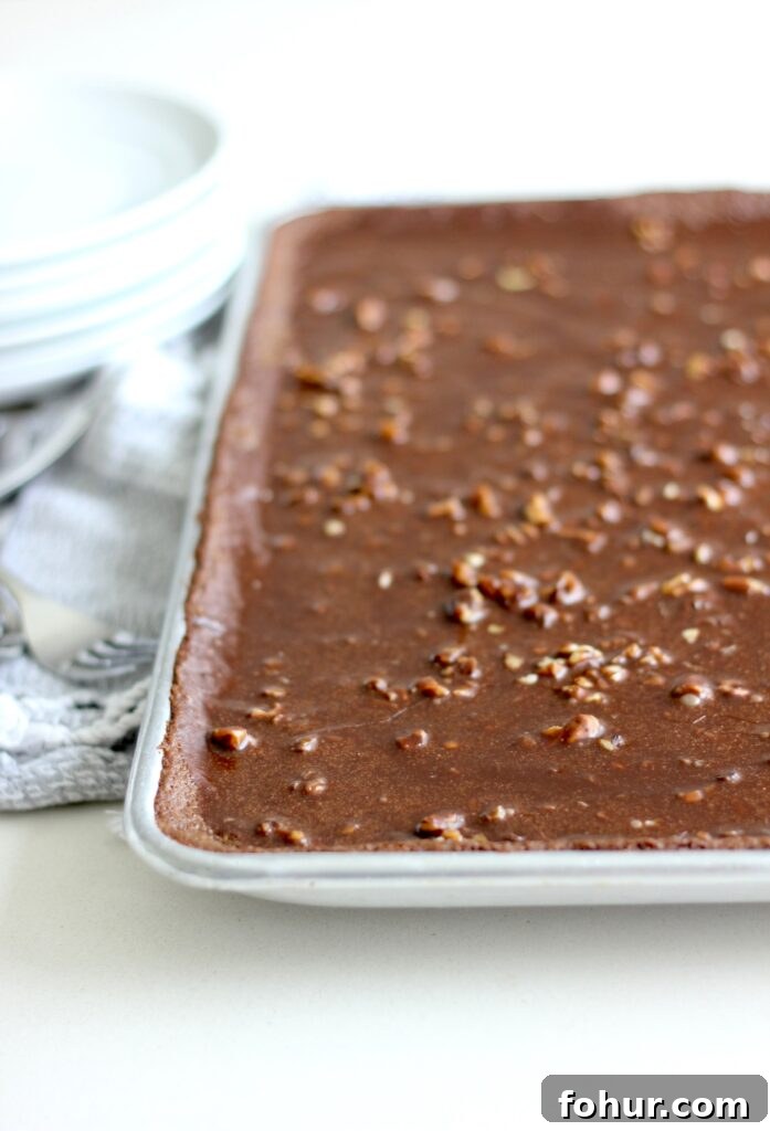 Classic Texas Sheet Cake Recipe with Fudgy Chocolate Frosting 2 Texas Sheet Cake on a baking sheet