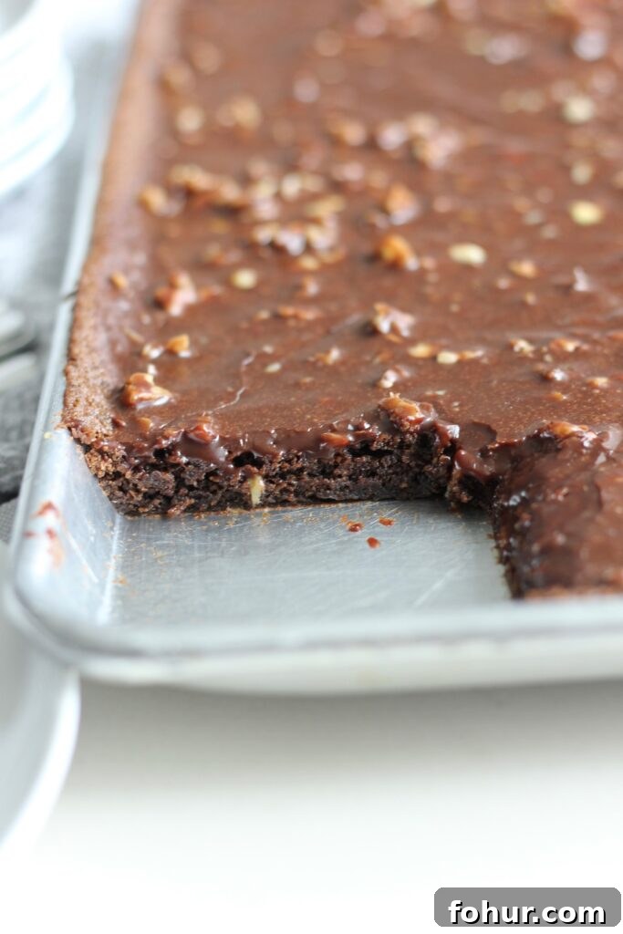 Classic Texas Sheet Cake Recipe with Fudgy Chocolate Frosting 6 Sheet cake topped with chopped nuts