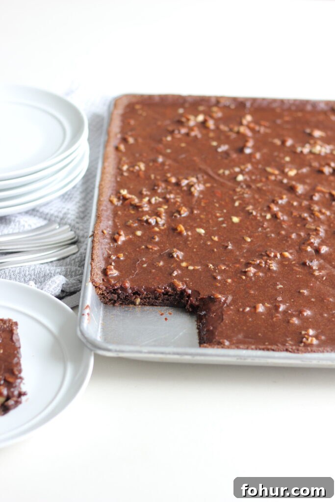 Classic Texas Sheet Cake Recipe with Fudgy Chocolate Frosting 7 Sliced Texas Sheet Cake ready to serve
